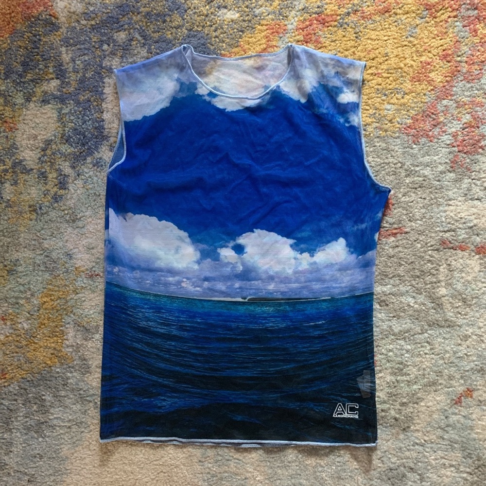 Vintage Aaron Chang Sea and Sky Photograph Bikini and Sheer Mesh Coverup